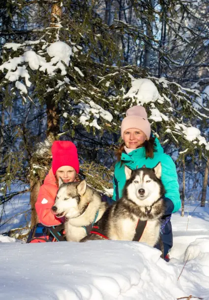 Массовое катание на хаски для детей