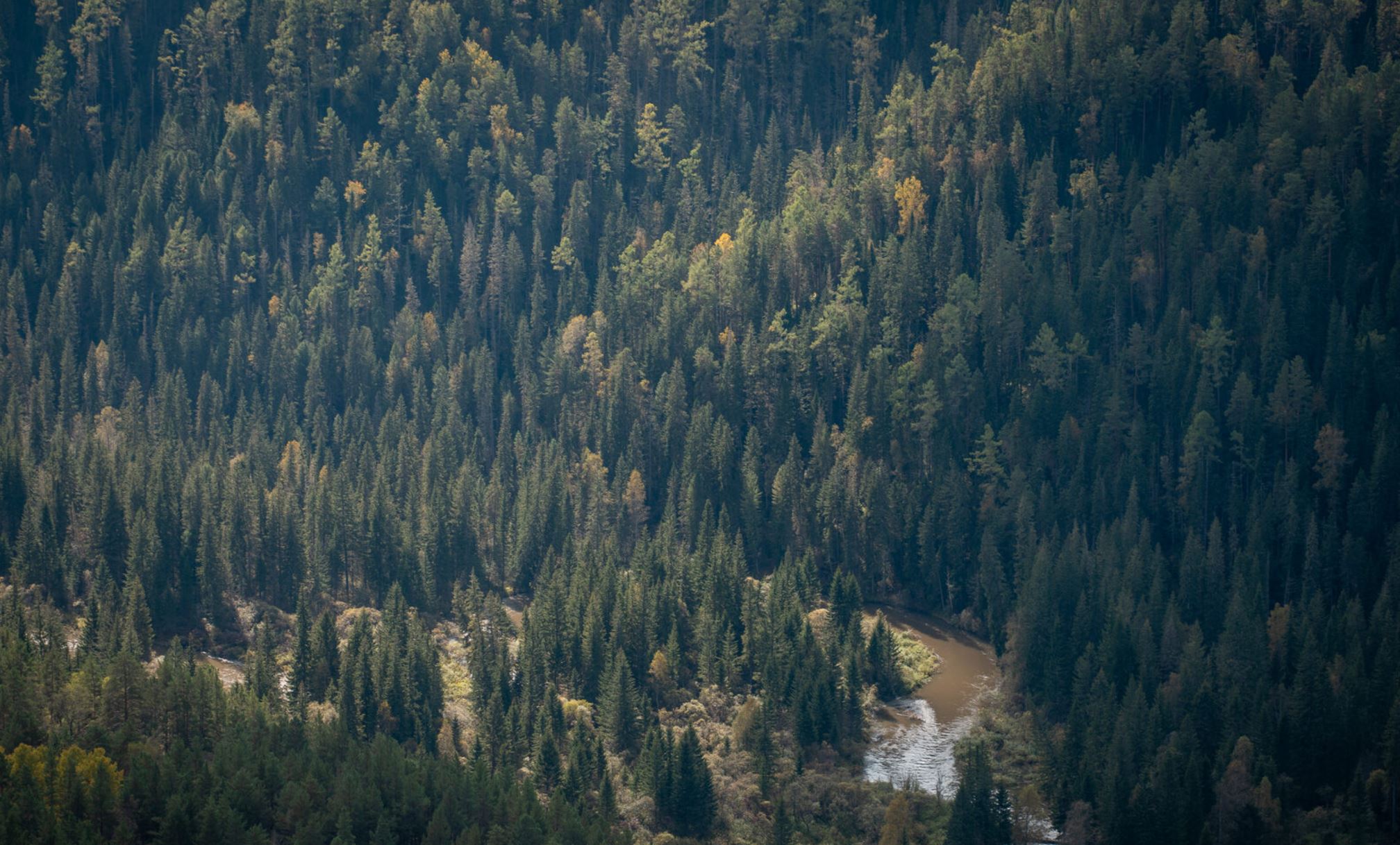 Фотопутешествие на Торгашинский хребет