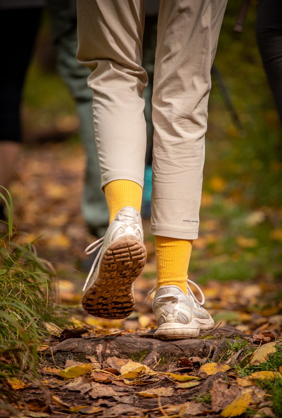 Индивидуальная фотопрогулка