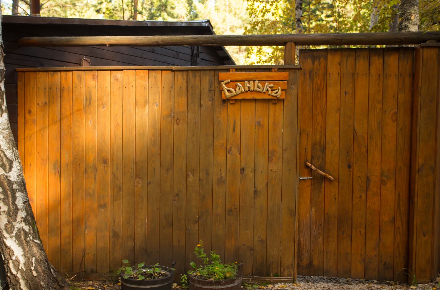 Отдых для компании в русской бане с купелью