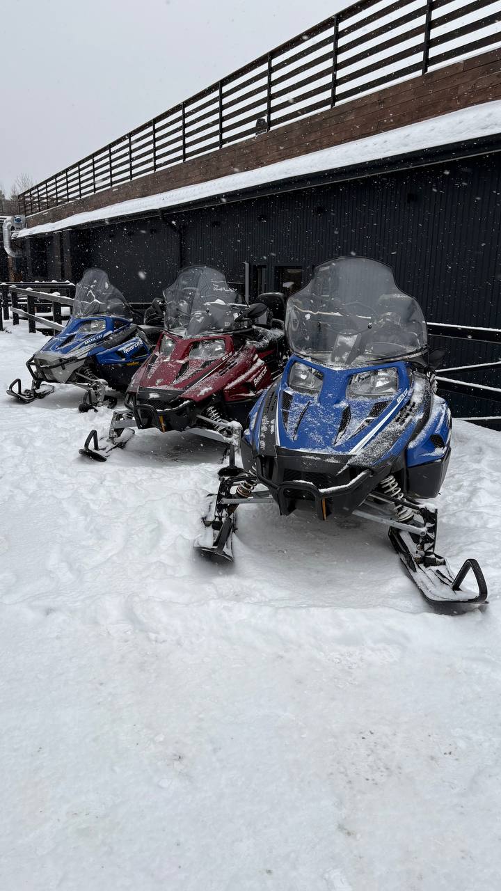 Тур на снегоходах по живописным просторам