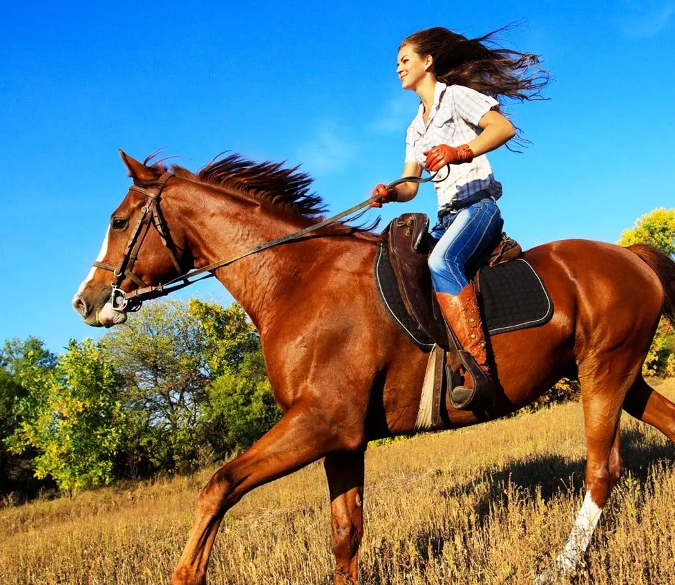 Основные правила верховой езды, кому можно подарить конную прогулку